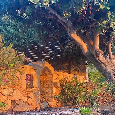 Serenity Garden Ammoudara *